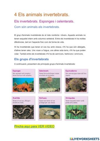 Els invertebrats 1ªparte