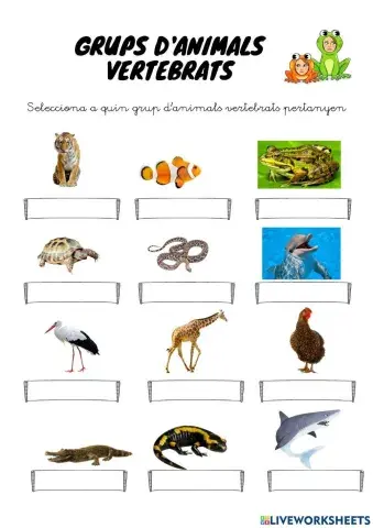 Animals vertebrats
