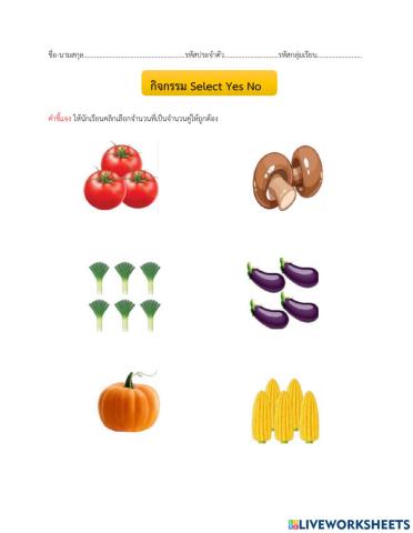 ใบงานที่ 3 Select Yes No