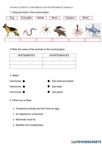 Animals:vertebrates and invertebrates