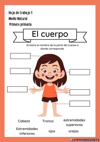 Partes del cuerpo