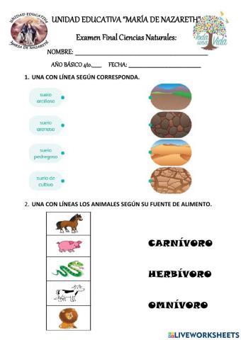 Examen ciencias 4EGB
