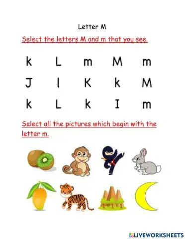 Letter M Recognition