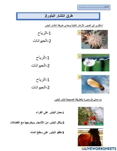 طرق انتشار البذور