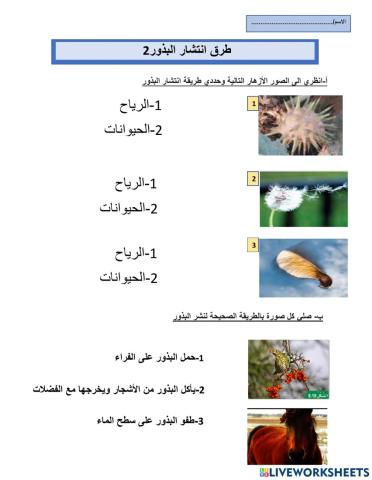 طرق انتشار البذور