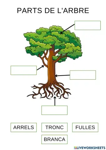 PARTS ARBRE