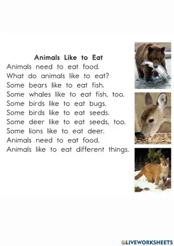 Animals like to eat