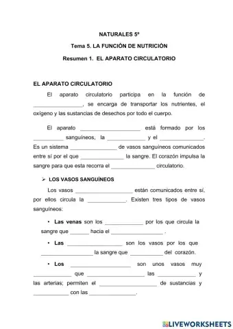 El aparato circulatorio