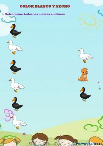 Color blanco y negro