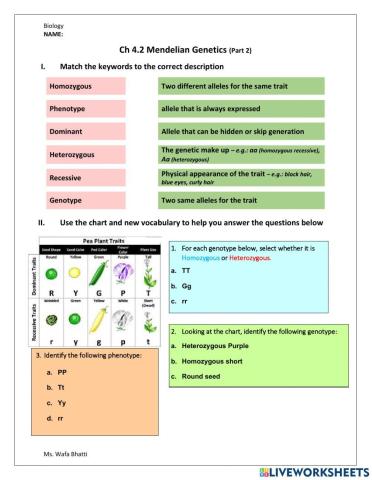 Mendelian genetics