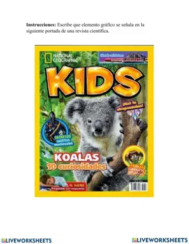 Elementos graficos lengua materna