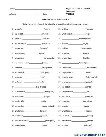 Noun adjective agreement