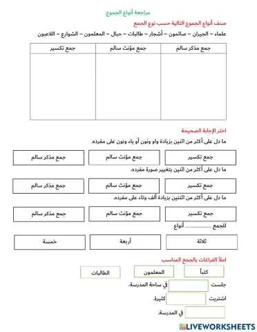 أنواع الجموع