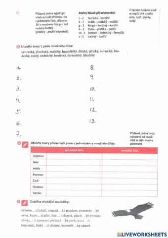 Pravopis přídavných jmen