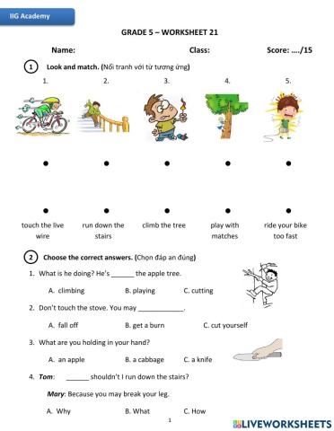 IIG-Grade 5-Worksheet 21