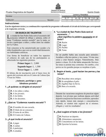 Prueba diagnóstica