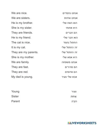 Noam Homework February