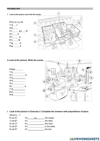 Wider World Starter Unit 3