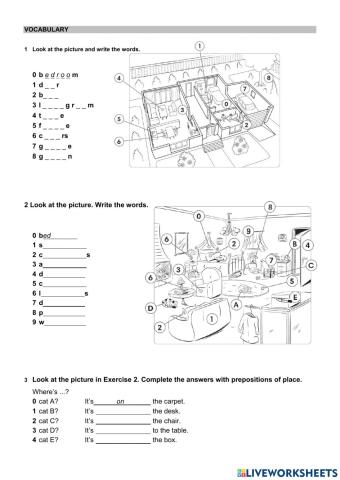 Wider World Starter Unit 3