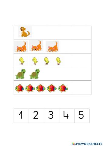 Asignar grafía- cantidad