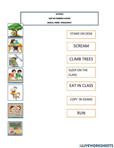 Modal verbs  shouldnot do