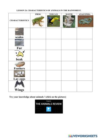 Lesson 24. characteristics of animal in the rainforest