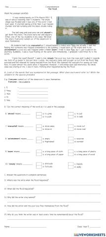 Comprehension: The Flood