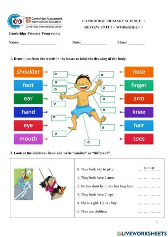CPS1-Review U3-Worksheet 1
