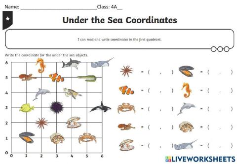 Under the Sea - Coordinate