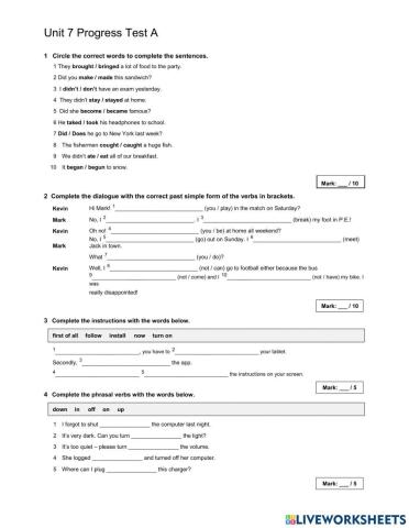 Past simple, computing-final-test