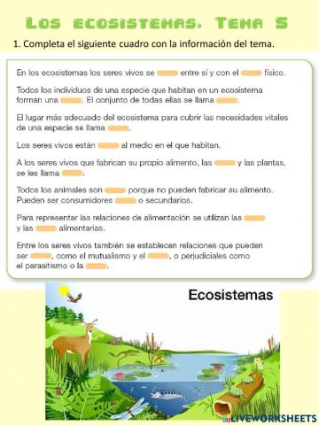 Los ecosistemas