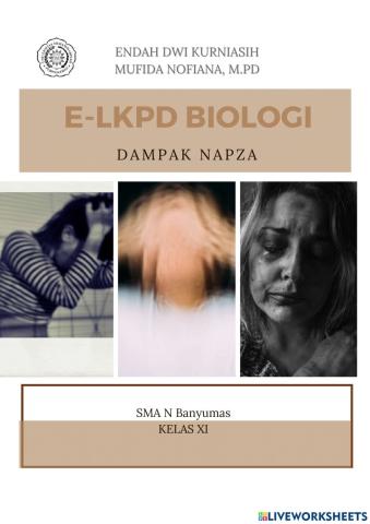 Dampak napza