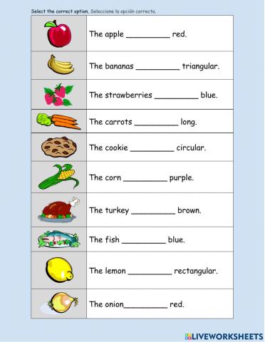 Is - are - is not - are not Practice