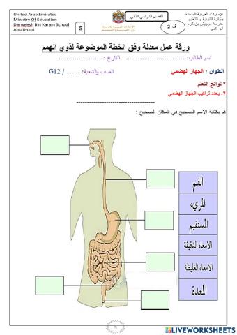 Digestive system components