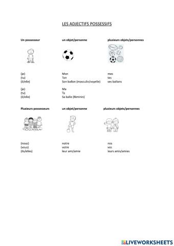 Les adjectifs possessifs