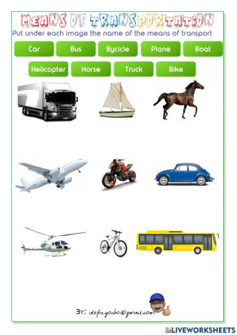 Means of Transportation