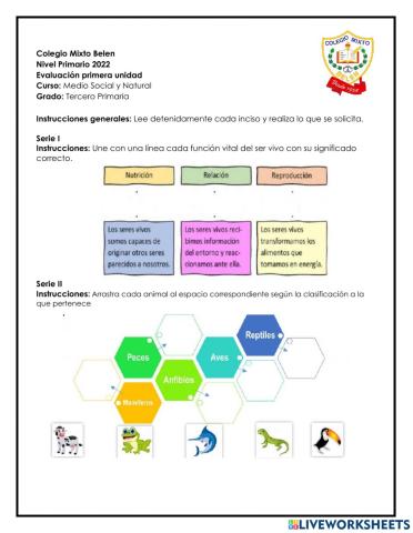 Evaluación bimestral.