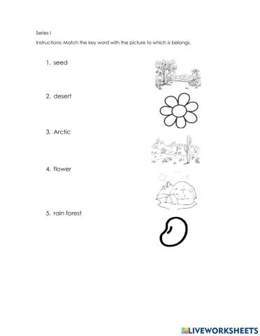 I unit exam first grade