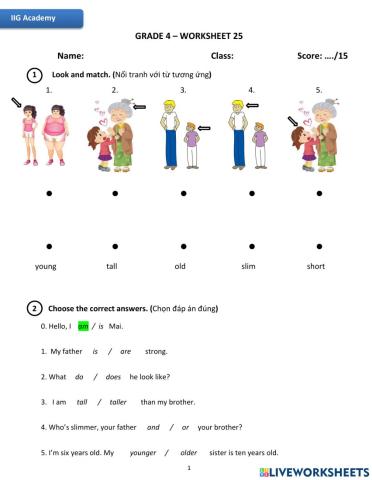 IIG-Grade 4-Worskheet 25