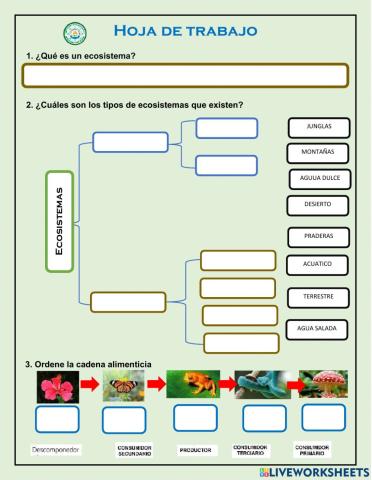 Ecosistema y red trófica