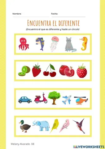 Encuentra la Diferencia