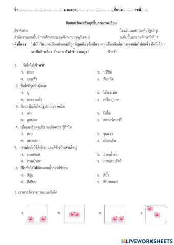 ข้อสอบศิลปะป.4