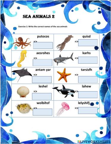 Sea animals 2