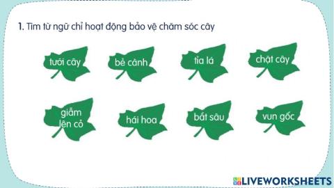 Luyện từ và câu tuần 25