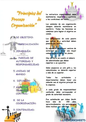Principios  del proceso de organización