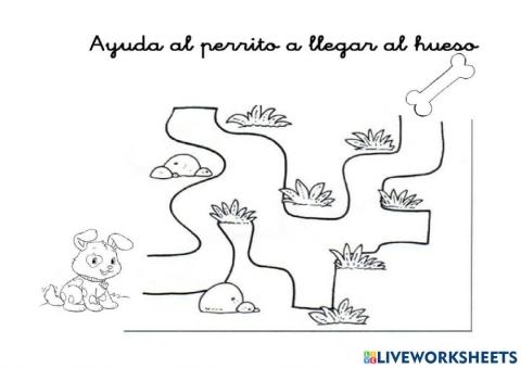 Laberinto hueso perrito