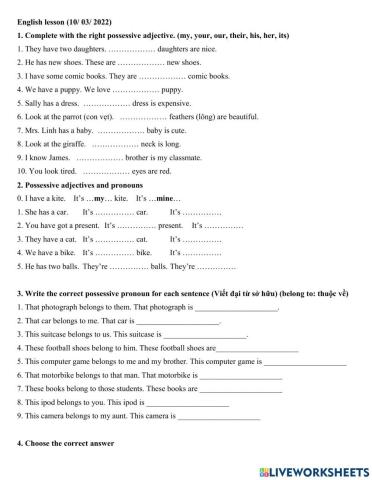 Group 5 - Possessive adjectives and pronouns