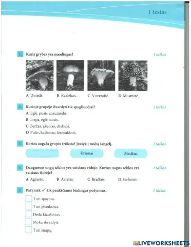 Pasaulio pažinimo standartizuotas testas.