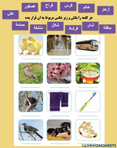 تطابق عکس با کلمه