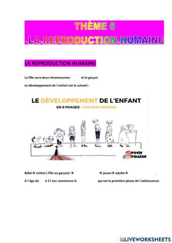 La reproduction humaine